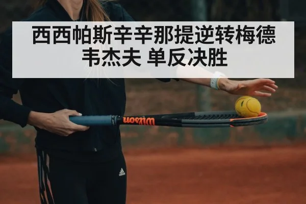 西西帕斯辛辛那提逆转梅德韦杰夫 单反决胜